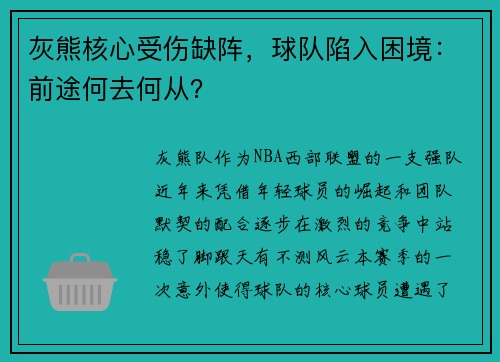灰熊核心受伤缺阵，球队陷入困境：前途何去何从？